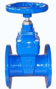 Gate Valve